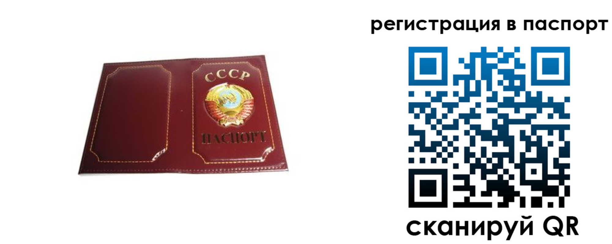 прописка 2025 в Углегорске